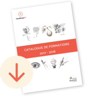Catalogue de formation