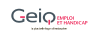 Geiq emploi et handicap lille